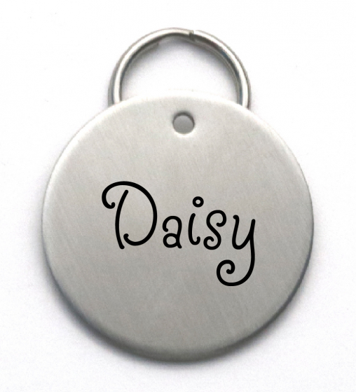 Engraved Stainless Steel Name Tag - Simple Large Dog ID Tag