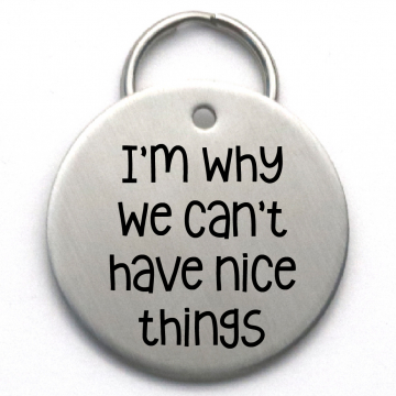 Engraved Dog Tag, I'm Why We Can't Have Nice Things, Funny Pet ID, Makes a Unique Gift
